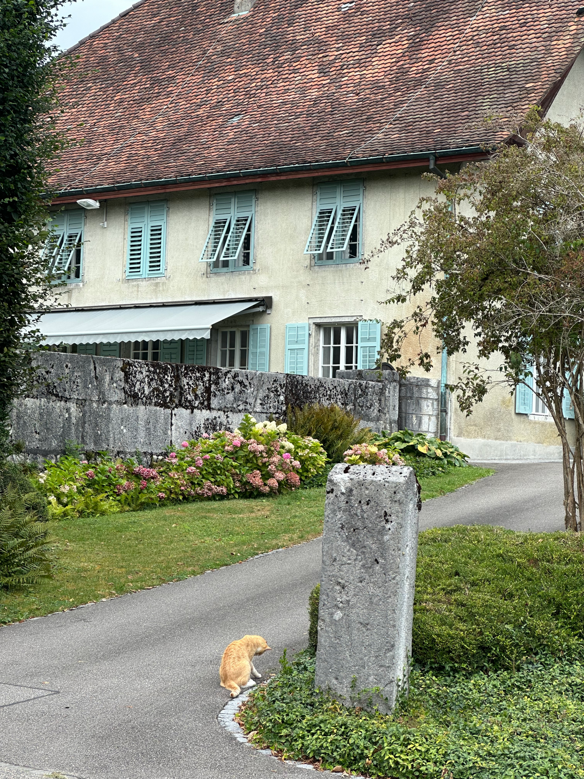 The Tradition of Swiss Alpine Rights